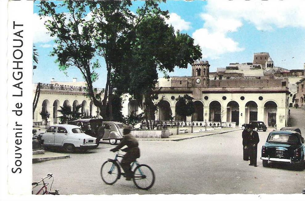 CPSM 9X14 . ALGERIE . Souvenir de LAGHOUAT . PLACE RANDON . Vélo , Autos années 50 dont 2 CV CITROEN et JEEP
