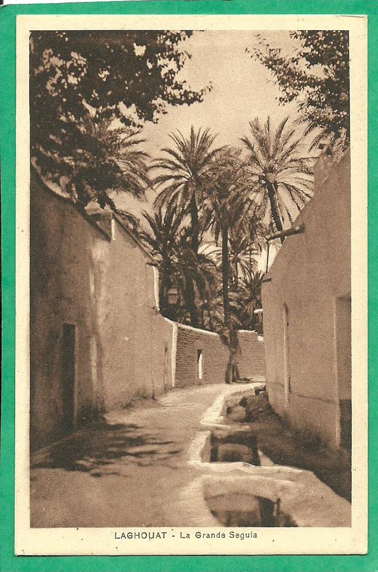 LAGHOUAT LA GRANDE SEGUIA