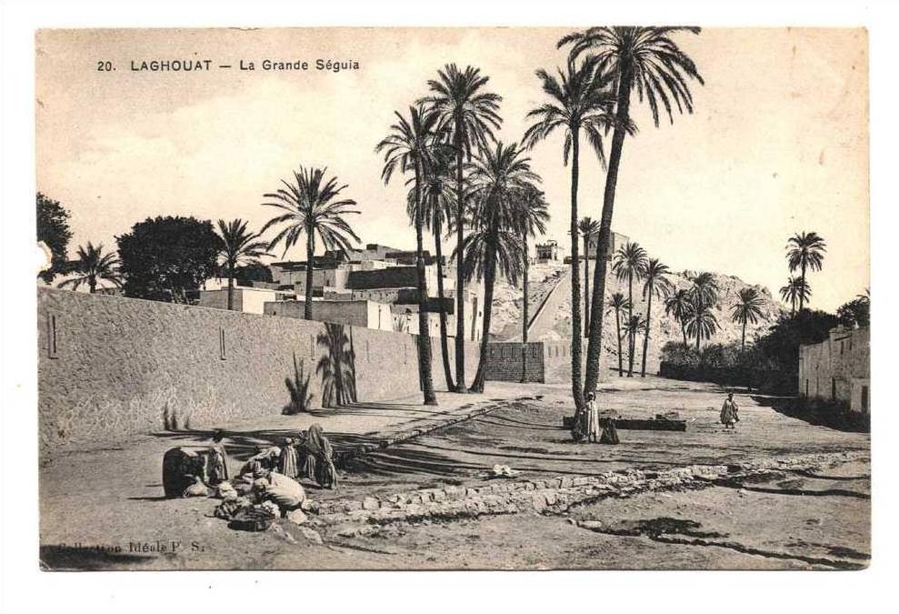Laghouat Femmes au lavoir de la Grande  Seguia Carte n° 20 Coll Ideal PS