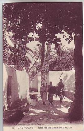 LAGHOUAT .- Rue de la Grande Séquia
