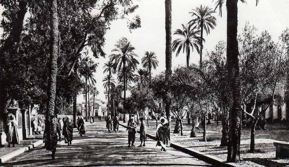 ALGERIE LAGHOUAT - Place des Oliviers et l'église