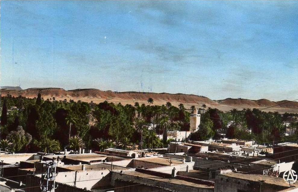 ALGERIE LAGHOUAT - Vue panoramique