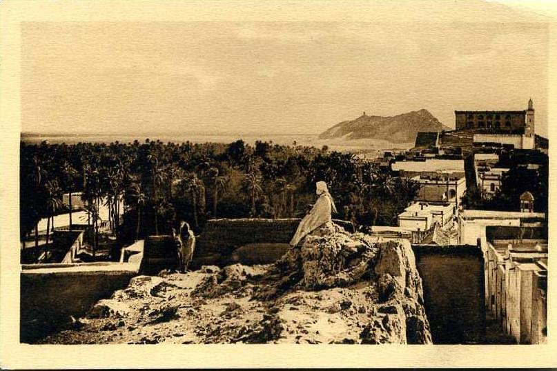 Laghouat - Palmeraie et Montagne du Chien