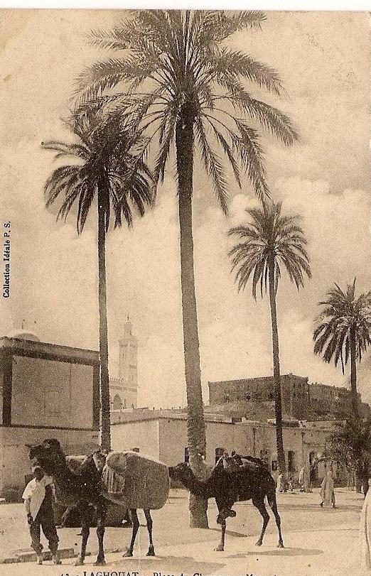 ALGERIE - LAGHOUAT place du chameau et mosquée - écrite TTBE