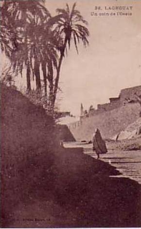 Laghouat  un coin de l'oasis