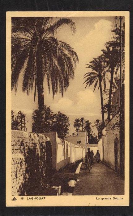 ALGERIE , LAGHOUAT , LA GRANDE SEGUIA , Ed.  A. BOUAMEUR , MUSEE ORIENTAL