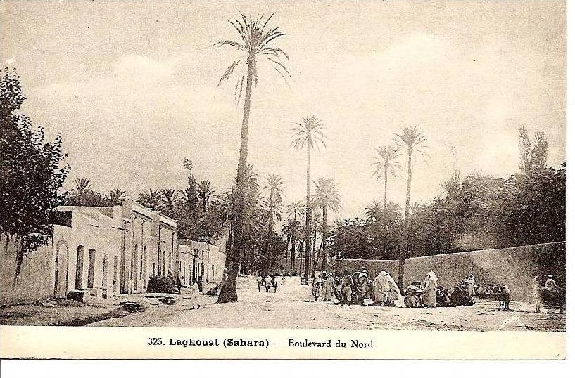 - ALGERIE - Laghouat Boulevard du nord - carte neuve excellent état