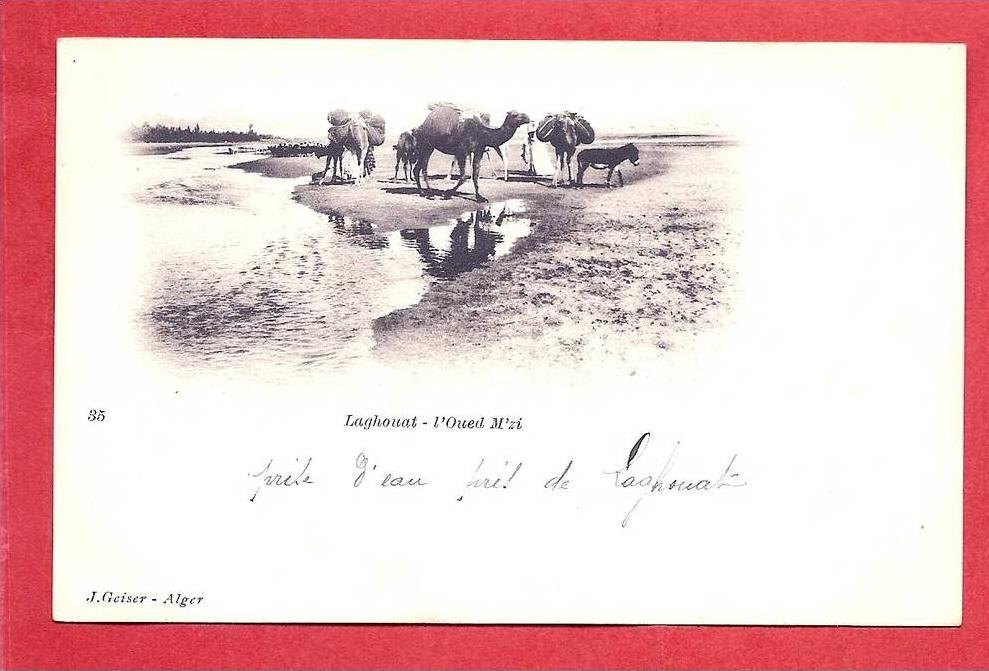 LAGHOUAT -  L' Oued M' Zi