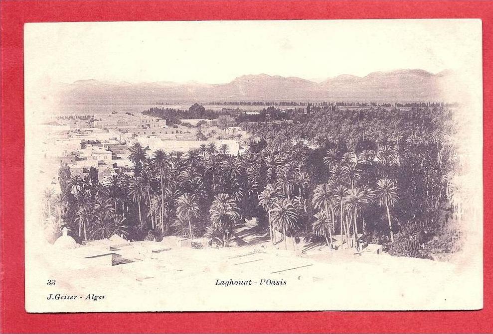 LAGHOUAT -  L' Oasis