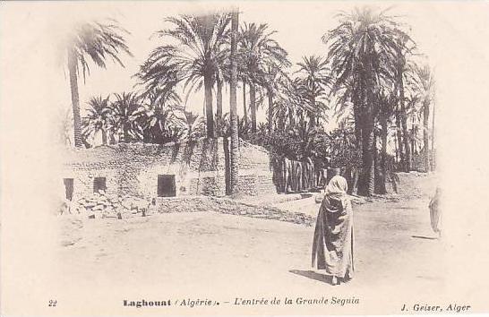 ALGERIE.LAGHOUAT.L ENTREE DE LA GRANDE SEGUIA