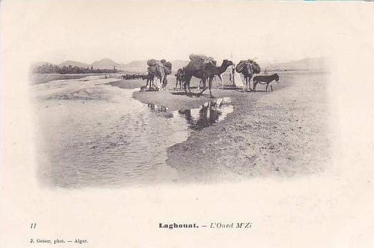 ALGERIE.LAGHOUAT.L OUED M ZI