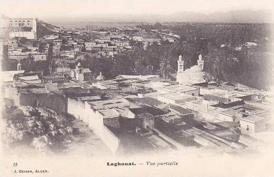 ALGERIE.LAGHOUAT.VUE PARTIELLE