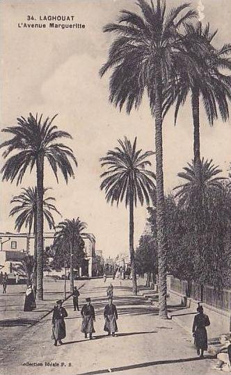 ALGERIE.LAGHOUAT.AVENUE MARGUERITTE....etat voir scan