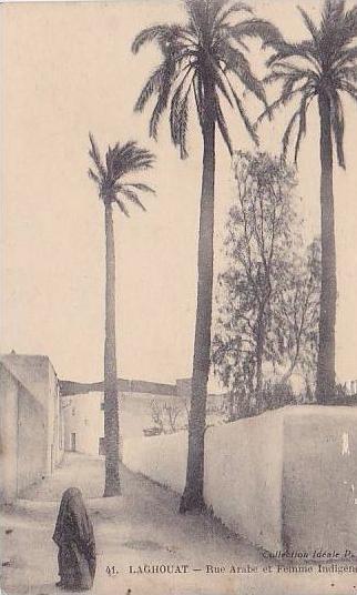 ALGERIE.LAGHOUAT.RUE ARABE ET FEMME INDIGENE...cp etat voir scan