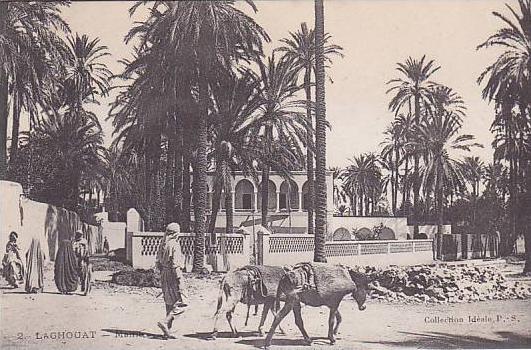 ALGERIE.LAGHOUAT.LA MAIRIE