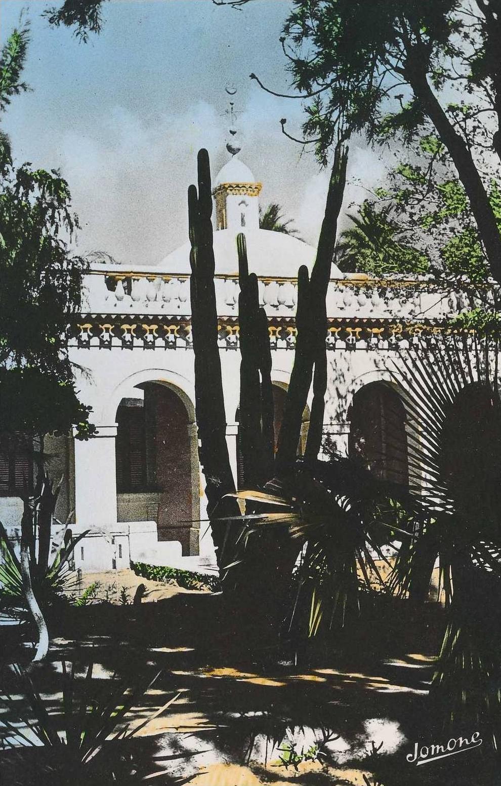 LAGHOUAT cpsm Jardin Exotique        170 Jomone