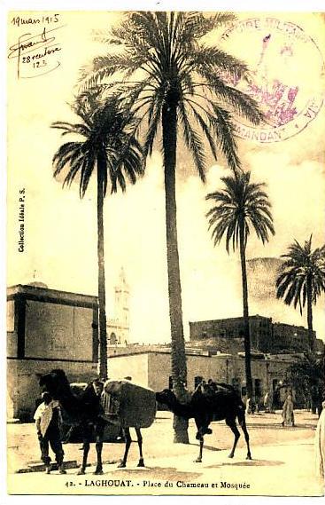 R 1007  CPA  ALGERIE  -- LAGHOUAT      PLACE DU CHAMEAU  ET MOSQUEE