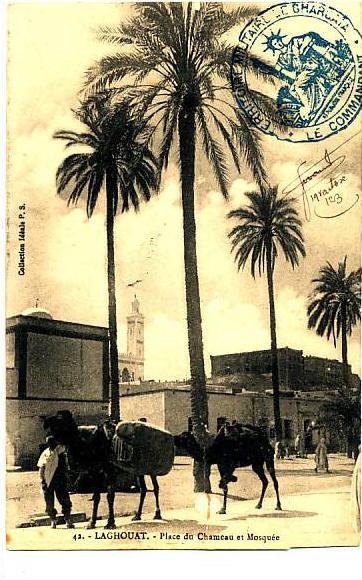 R 1007  CPA  ALGERIE  -- LAGHOUAT      PLACE DU CHAMEAU  ET MOSQUEE