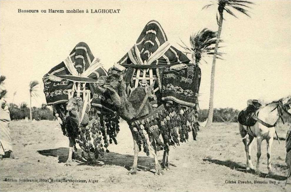 N°4646 -cpa Bassours ou Harem mobiles à Laghouat