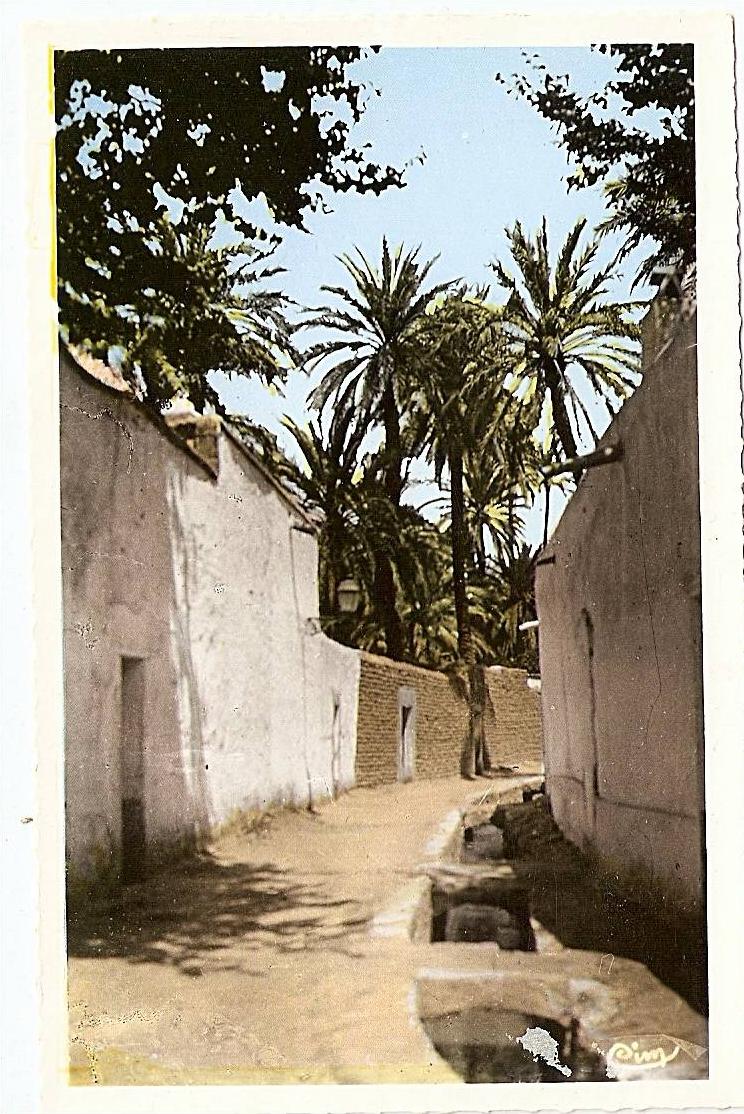 CPSM. Algérie. Laghouat, une rue de la grande séguia, sud algérien