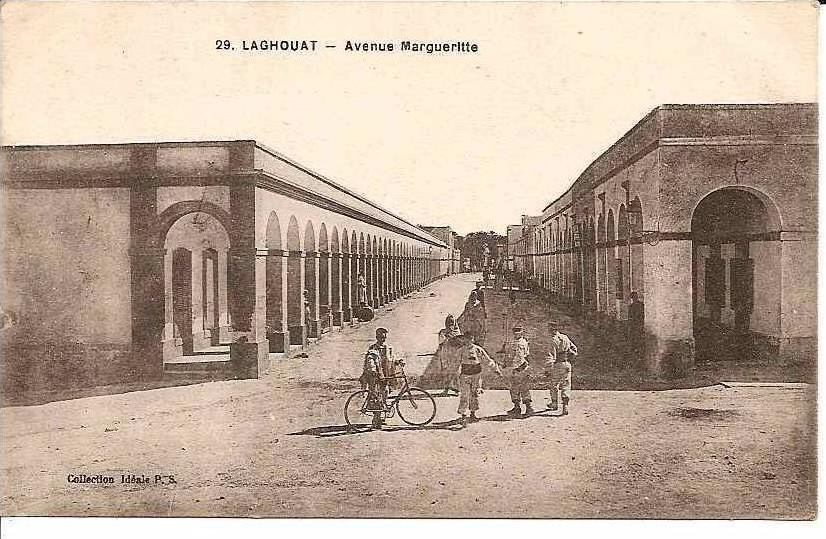 LAGHOUAT AVENUE MARGUERITTE REF 5917