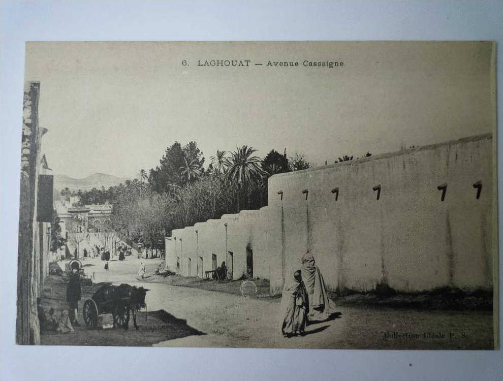 LAGHOUAT    Avenue CASSAIGNE