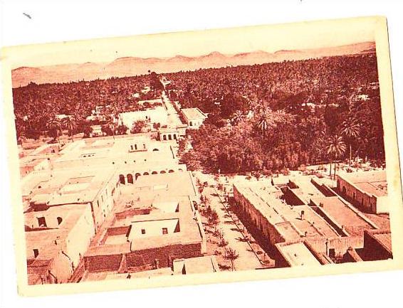 laghouat vue de l avenue cassaigne