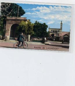 ALGERIE Amitié de LAGHOUAT Place d' Alger , cycliste , 9x14 dentelée , glaçée .
