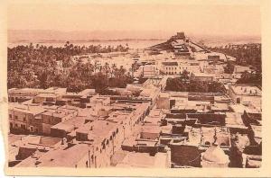 LAGHOUAT. vue générale et le fort Morand.