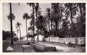 Laghouat - Un Boulevard  Achat Immédiat