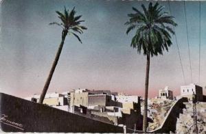 Laghouat - Panorama  Achat Immédiat