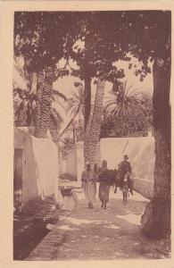 ALGERIE  LAGHOUAT  les grandes seguia