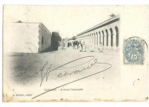 Laghouat. Avenue Cassaigne. 1904. Dos simple
