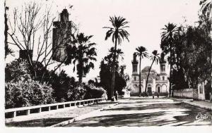 LAGHOUAT Algérie L' Eglise et la Commune Mixte  Carte dentelée véritable photo