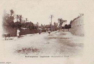CPA - sud algérien - laghouat - boulevard du nord - afrique - (ref 1339)
