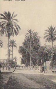 LAGHOUAT / LA RUE SONIS  //  REF12496