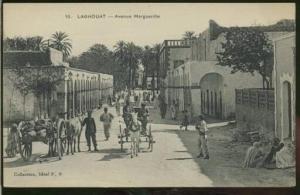 ALGERIE LAGHOUAT /  Avenue marguerite