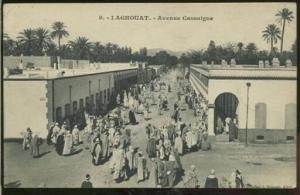 ALGERIE LAGHOUAT /  Avenue Cassaigne
