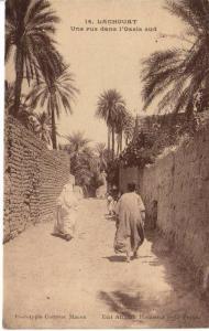 BELLE CPA ANIMEE DE LAGHOUAT - UNE RUE DANS L´OASIS SUD