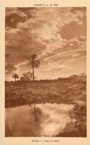 Fev13 240 M'Sila  -  Lever du Soleil