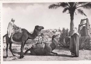 BR40426 Le M zab vue sur melika chamel  2  scans