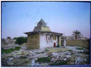 C. Postale  ALGERIE - M´SILA - UN MARABOUT A M´SILA