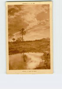 524 )  M'SILA. Lever du soleil, agenda P.L.M. 1930 . 2 Scans. Année 19**