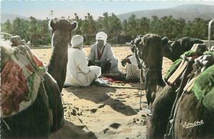 BOU-SAADA - Chameliers dans l'Oasis (Ed. Jomone, 116)