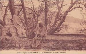 El Hamel Pres De Bou-Saada, Les Arbres Sacres Et Le Petit Marabout, M'Sila, Algeria, Africa, 1900-1910s