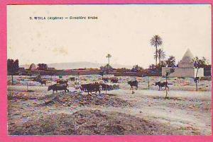 M´SILA ALGERIE CIMETIERE ARABE ??? ANIMATION ???