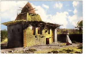 Un marabout à M'sila (1959) - cpsm petit format