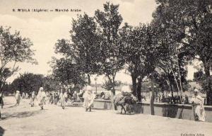 ALGERIE - M´SILA - Marché Arabe