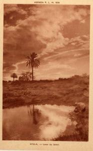 ALGERIE   M'SILA    -  Lever du Soleil