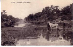 M´SILA - EL OUAID ET LES JARDINS